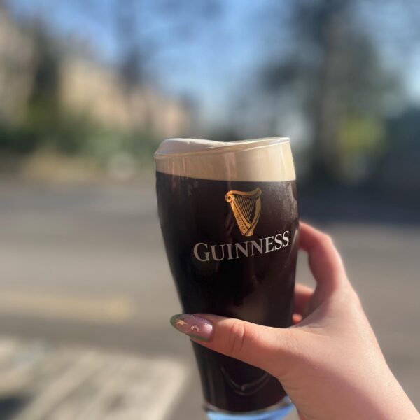 Old Grindstone Crookes Pint Beer Garden Relaxed Guinness